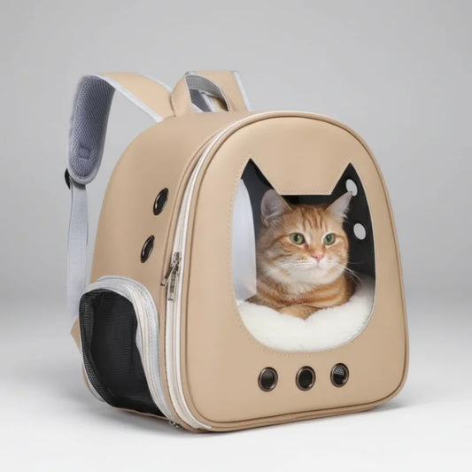 Chat dans sac à dos de transport beige
