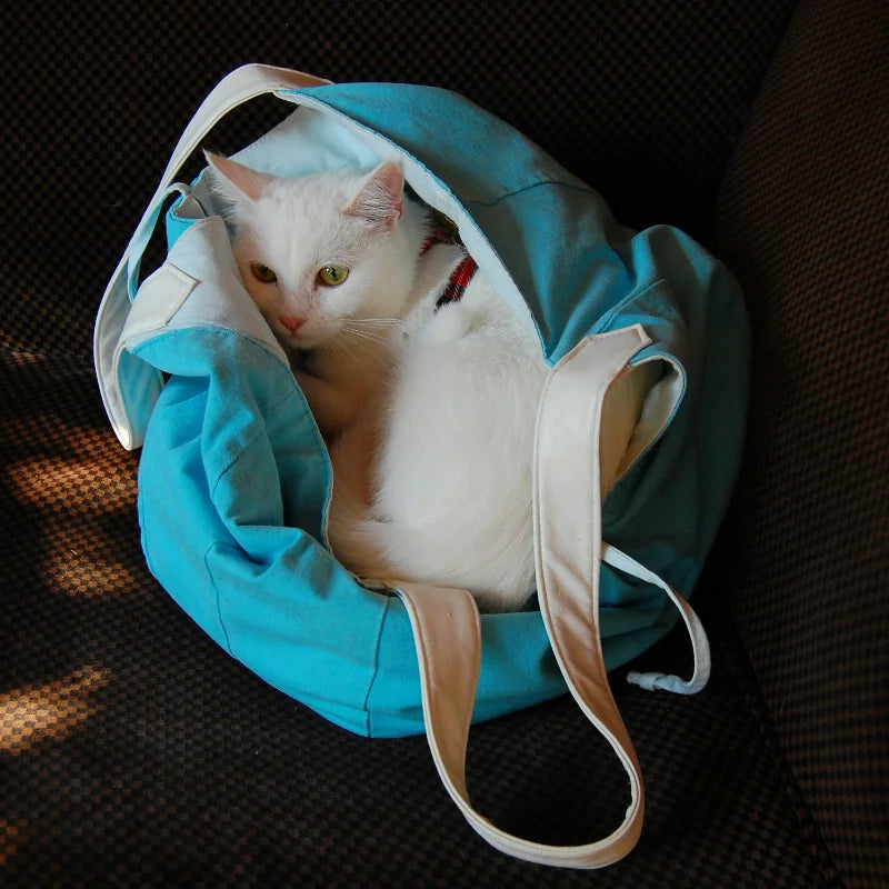 Chat blanc dans un sac de transport