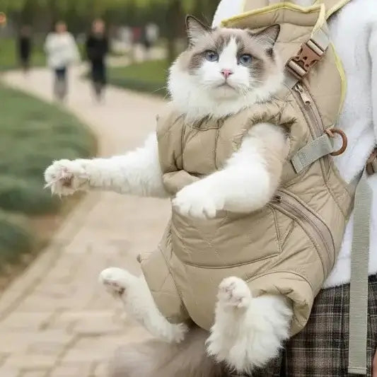 Personne portant un chat dans son sac ventral dans un parc