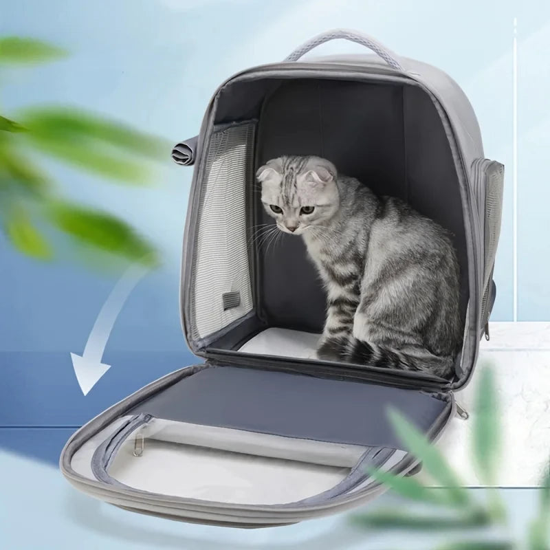 Sac à dos pour chat avec bretelles et visière transparente