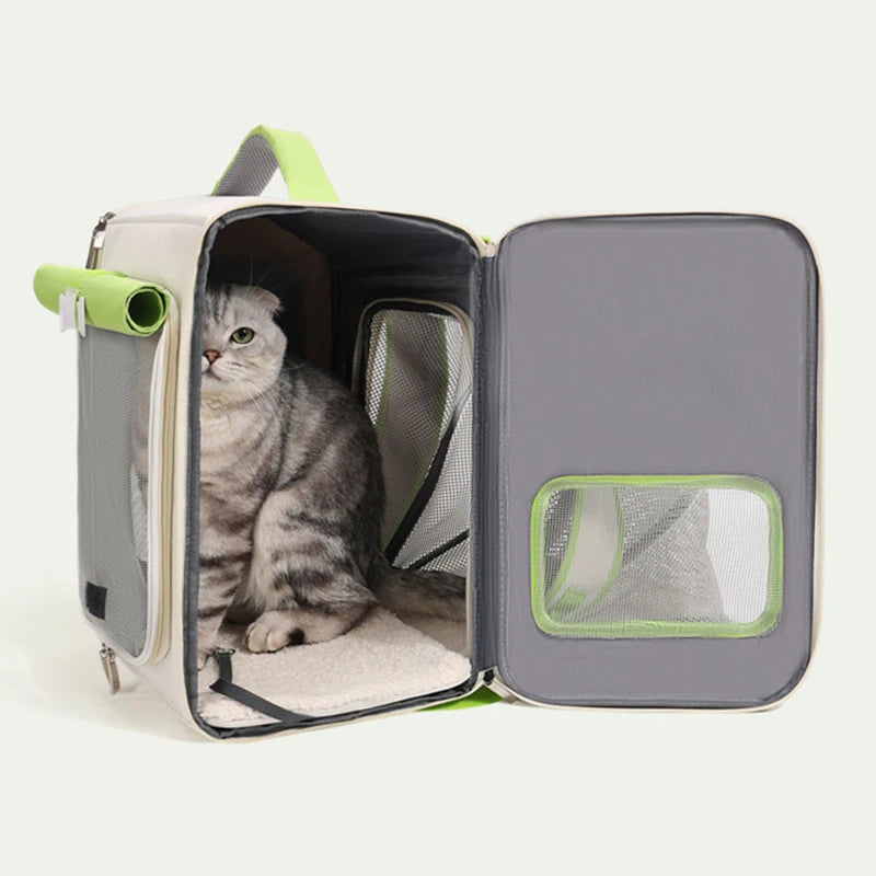 Sac à dos extensible pour chat