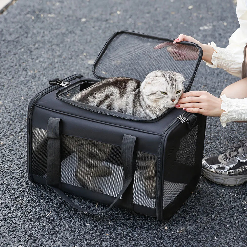 Cage de transport pliable noir