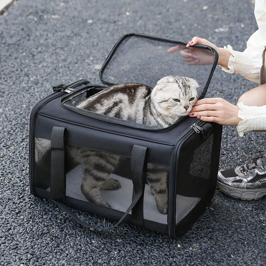 Cage de transport pliable noir