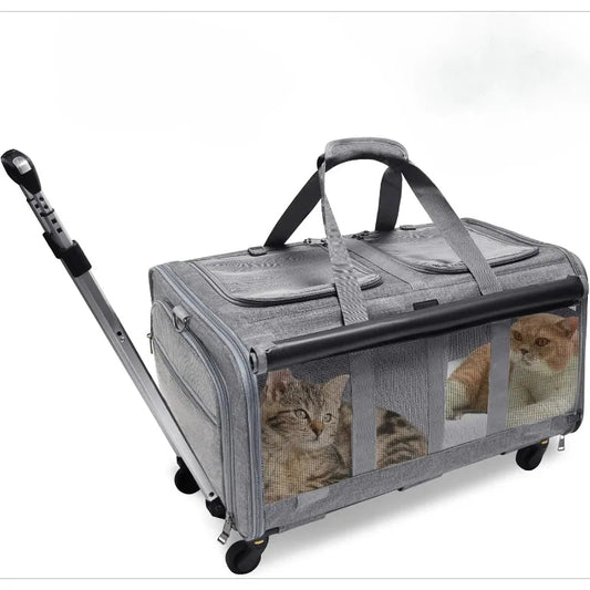 Caisse de transport pour 2 chats