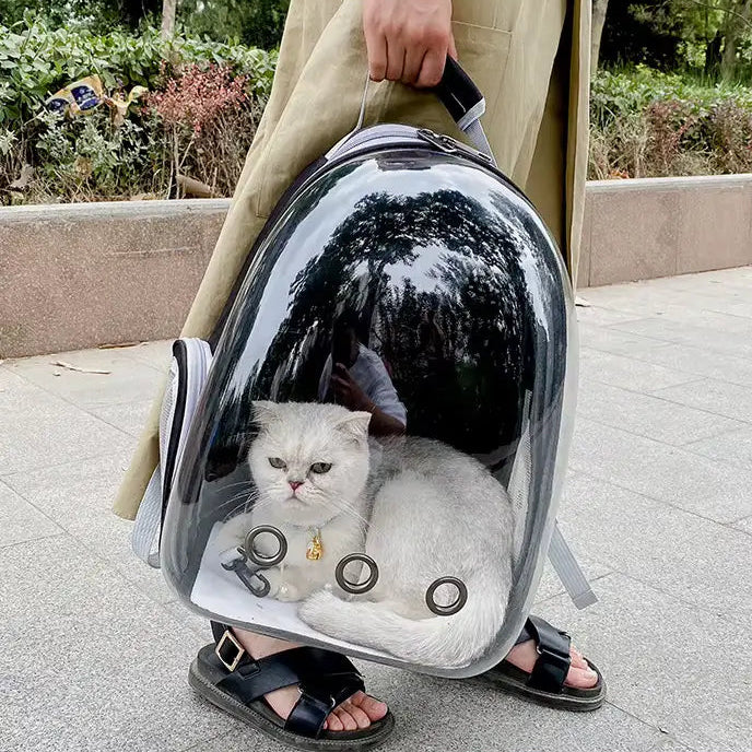 Sac à dos transport capsule transparent pour chat