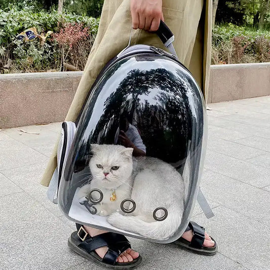 Sac à dos transport capsule transparent pour chat