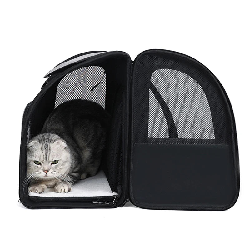 Sac à dos extensible et respirant pour chat
