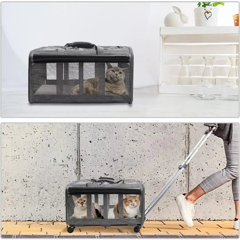 Caisse de transport pour 2 chats