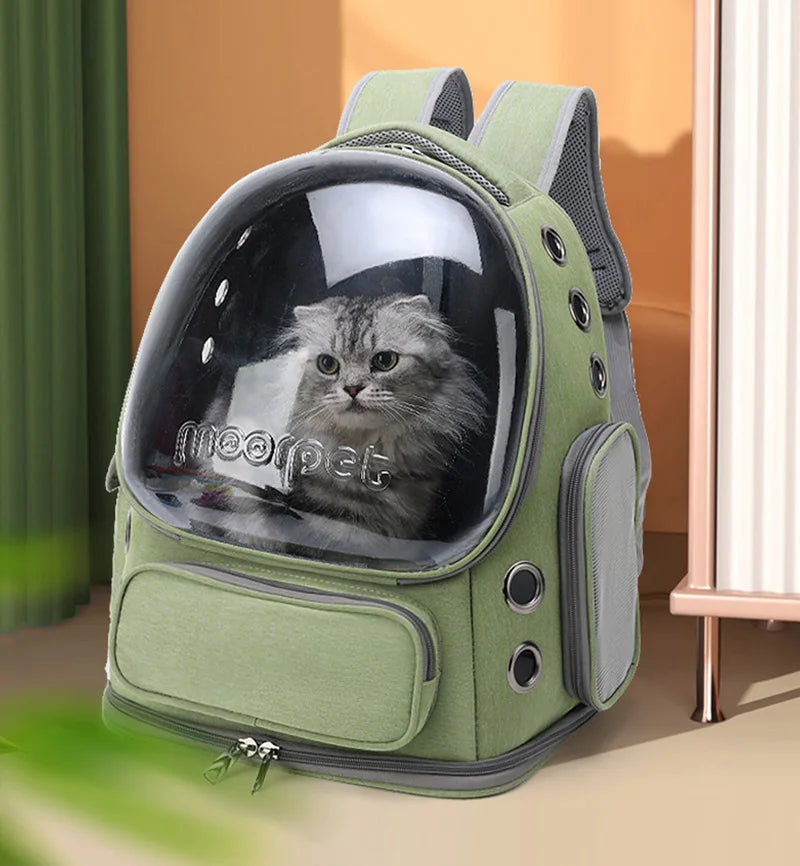 Sac transport transparent chat – confort, sécurité et visibilité optimale