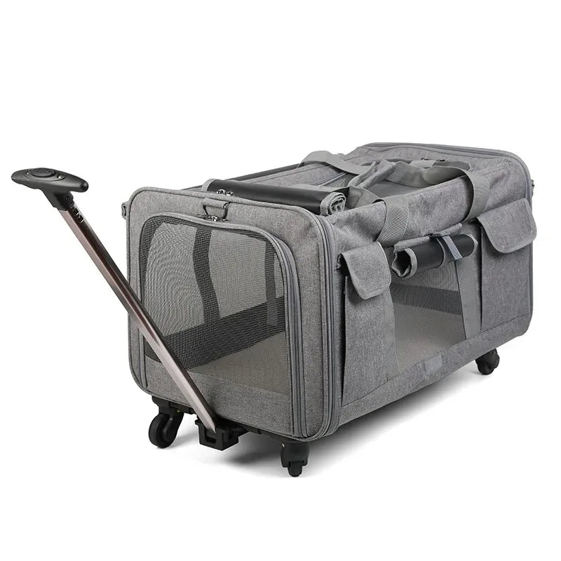 Caisse de transport pour 2 chats