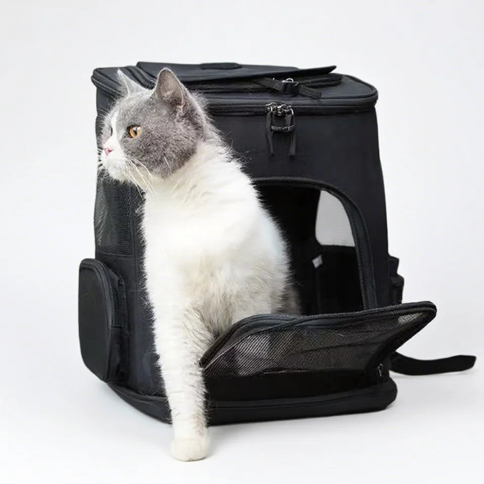 Sac à dos extensible respirant pour chat