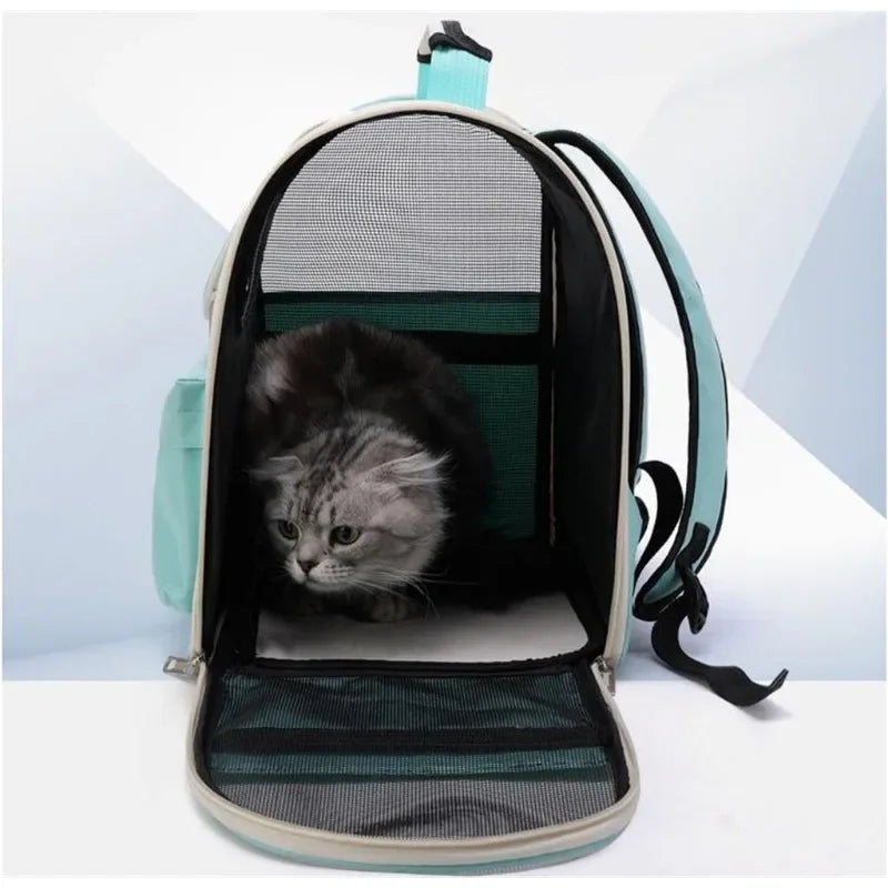 Sac à dos transparent pour chat Hello Cat