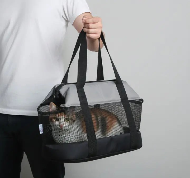 Rester tout près pour apaiser les chats sensibles