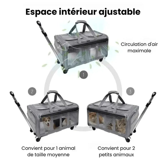 Caisse de transport pour 2 chats