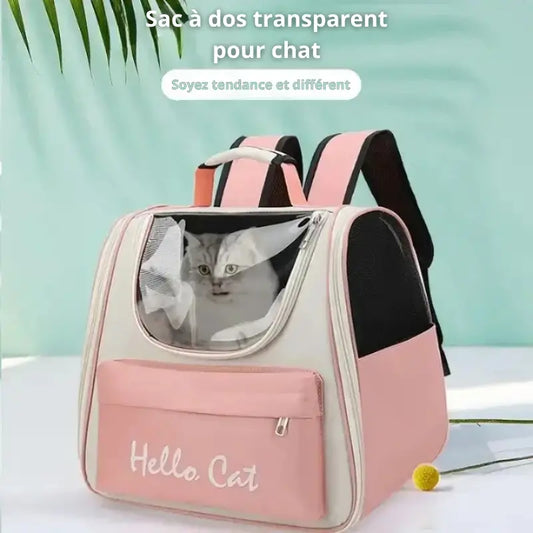 Sac de transport chat transparent Hello Cat