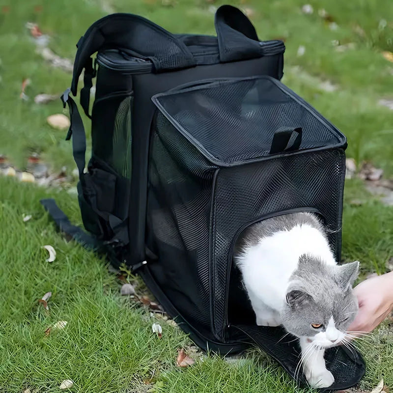 Sac à dos extensible respirant pour chat
