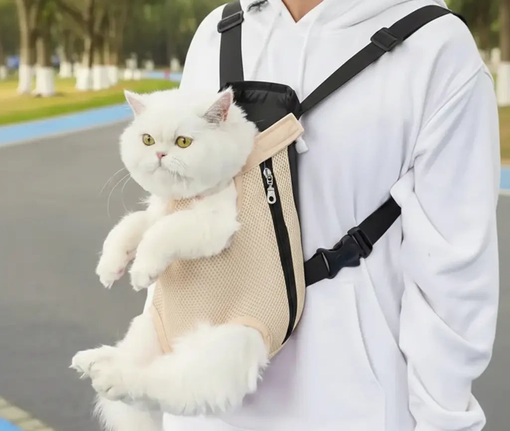 Sac ventral pour chat : avantages, limites et profils pour lesquels il est adapté