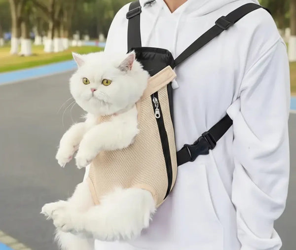 Sac ventral pour chat : avantages, limites et profils pour lesquels il est adapté