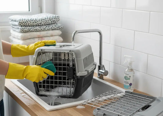 Entretien d'une caisse de transport pour chat : méthodes, hygiène et fréquence