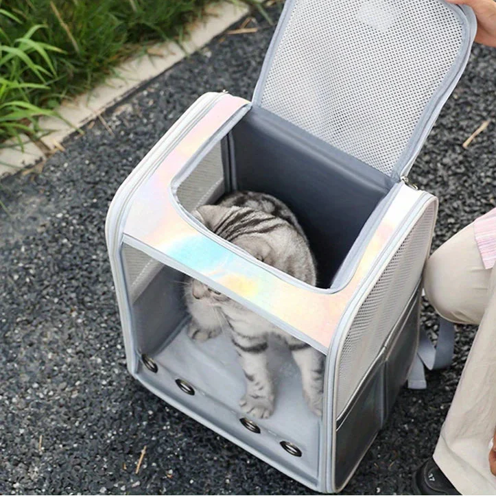 Sac transparent pour transporter un chat