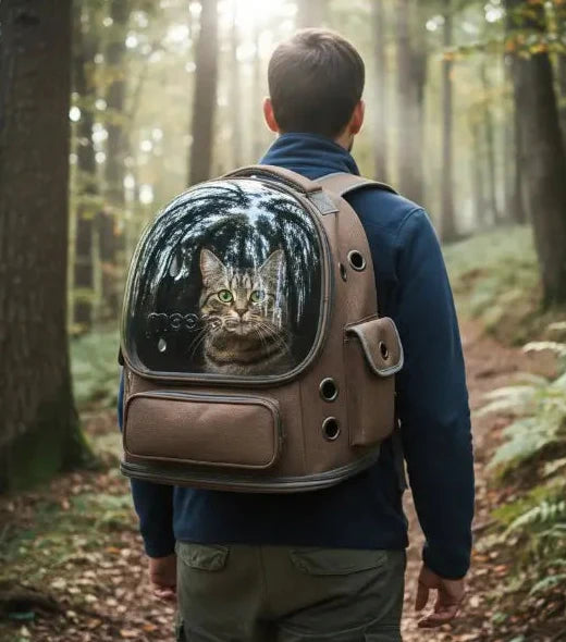 randonneur portant un sac de transport pour chat dans une foret de France