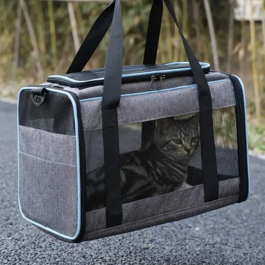Un fond rigide pour un chat stable