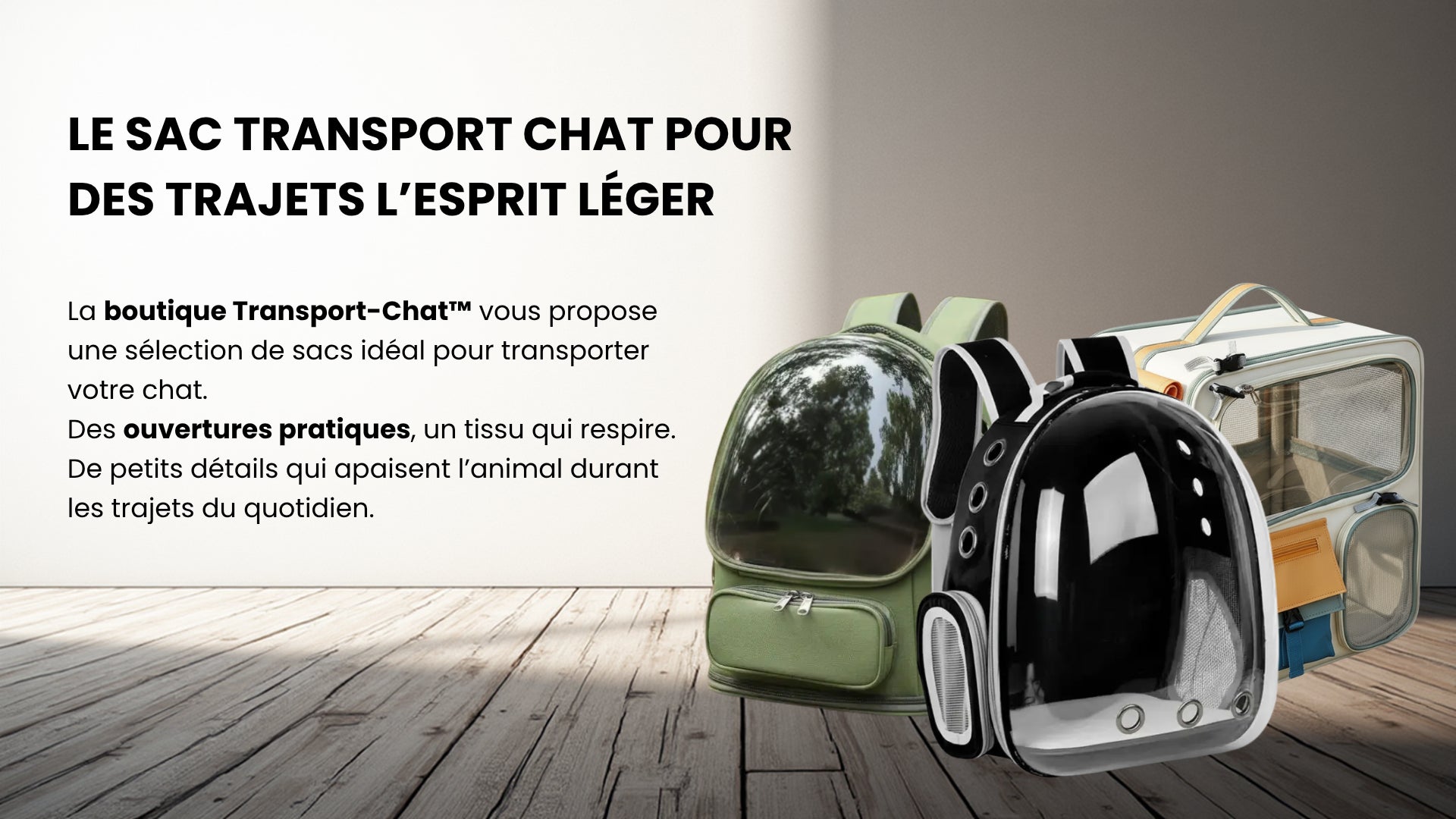 Bannière principale transport chat