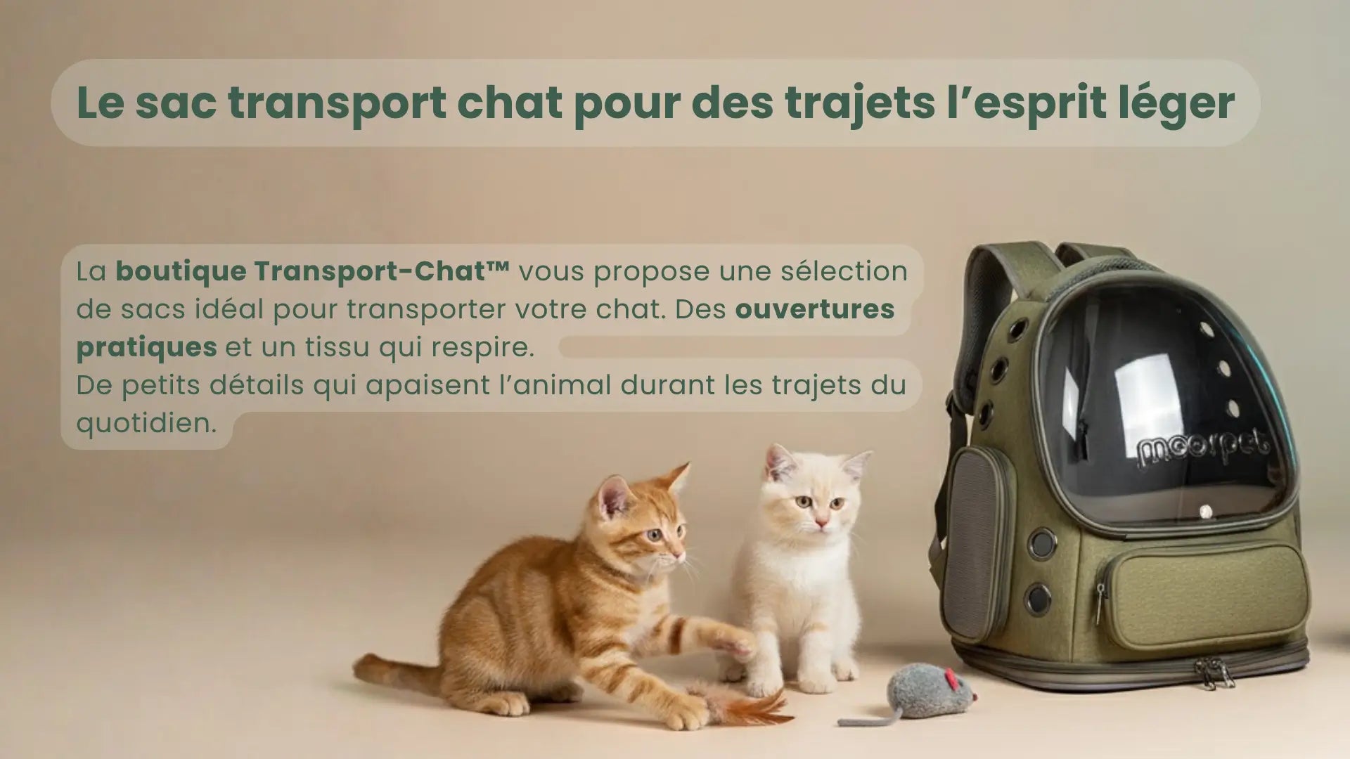 Banniere principale transport chat