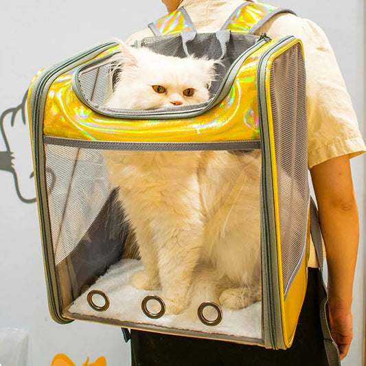 Sac de transport transparent à effet réfléchissant