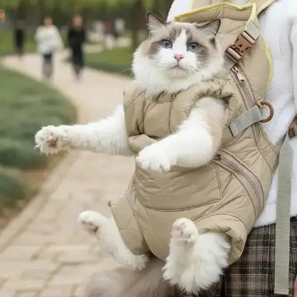 Personne portant un chat dans son sac ventral dans un parc