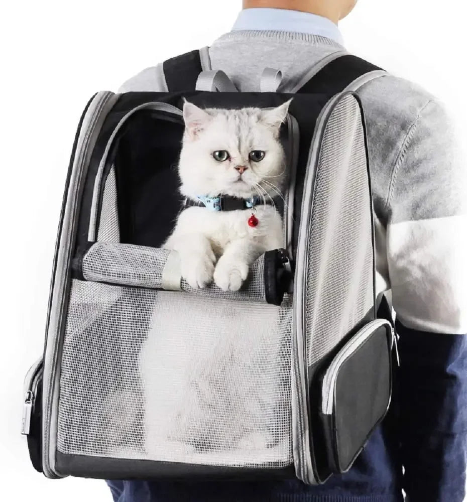 Sac à dos transport chat avec maille transparent - Noir
