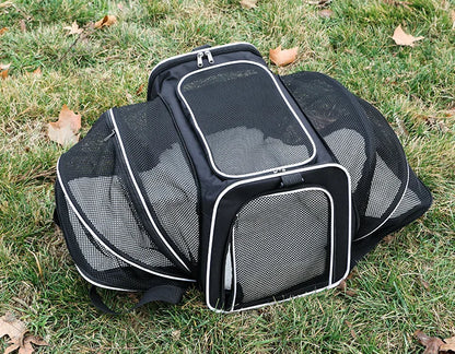 Sac transport souple pliable respirant pour chat