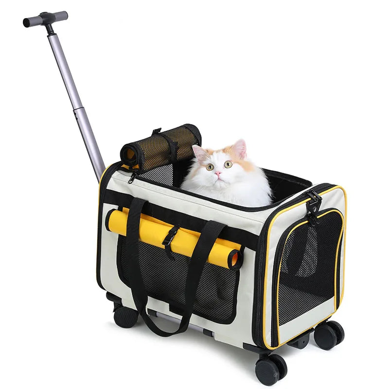 Un espace pour les chats de grande taille