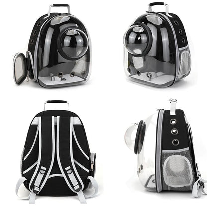 Sac à dos transport capsule transparent pour chat