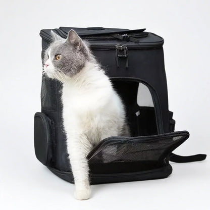 Sac à dos extensible respirant pour chat