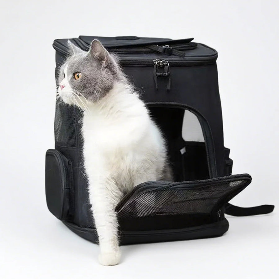 De la place pour que votre chat se détende