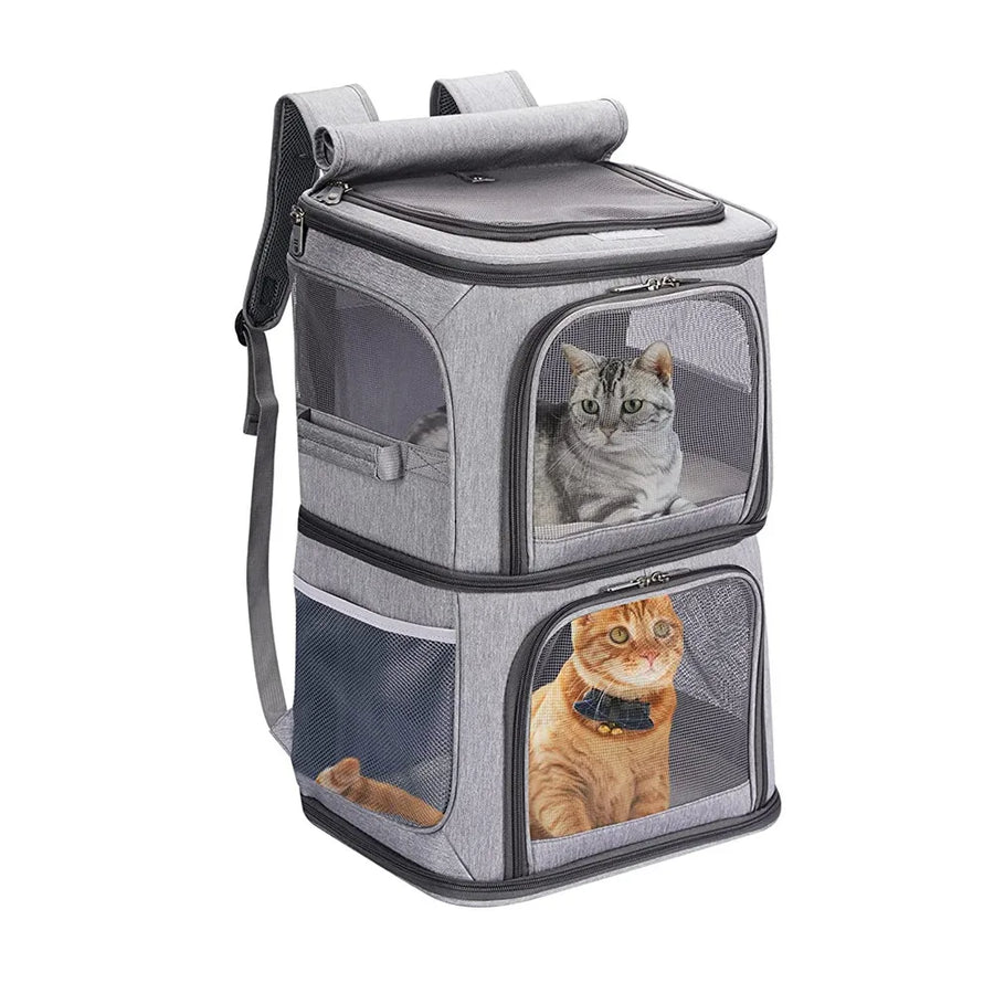 Confort et visibilité pour le chat