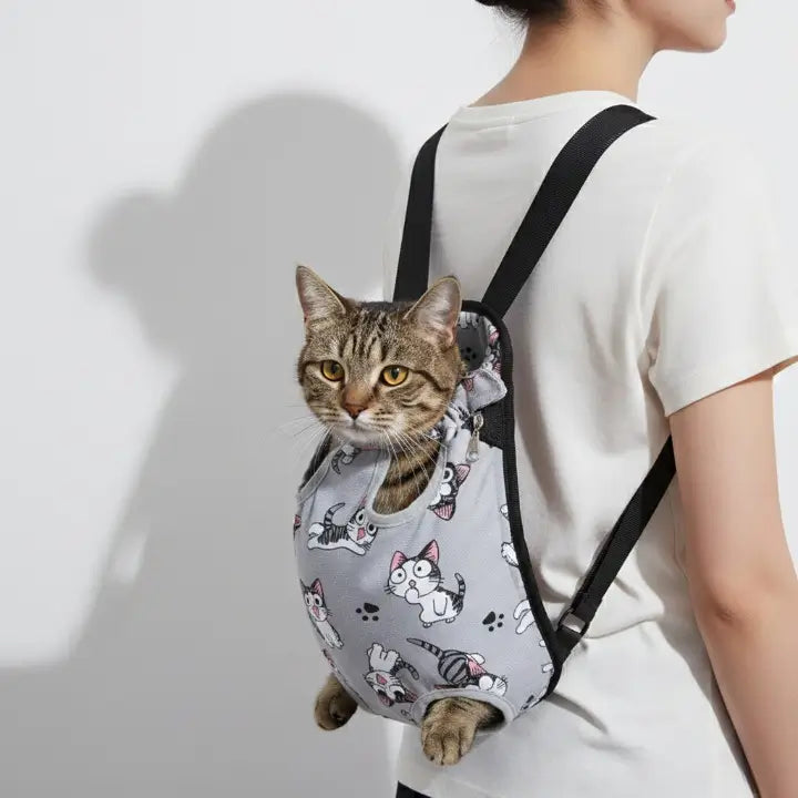 Rester tout près pour apaiser les chats sensibles