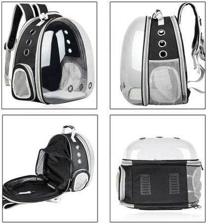 Sac de transport chat avec hublot large et transparente