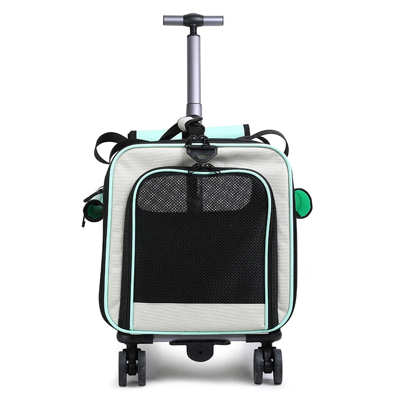 Sac à roulettes pour chat avec poignée télescopique