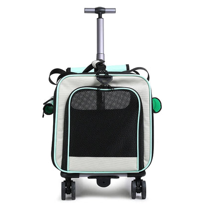 Sac à roulettes pour chat avec poignée télescopique