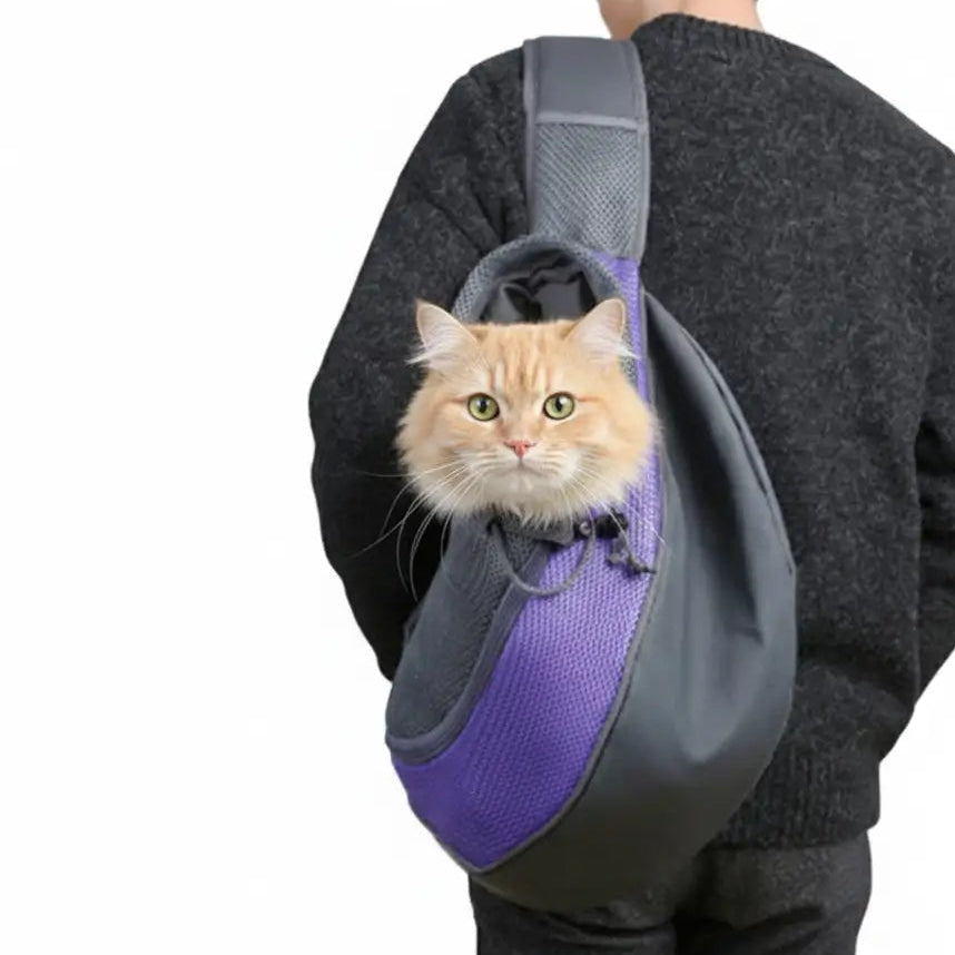 Rester tout près pour apaiser les chats sensibles